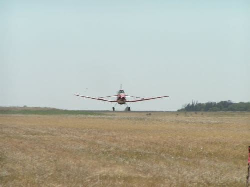 Fumigaciones en Bº Ituzaingó