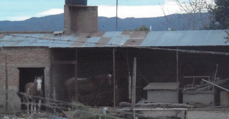 P7230319 1 - Diario Resumen de la región
