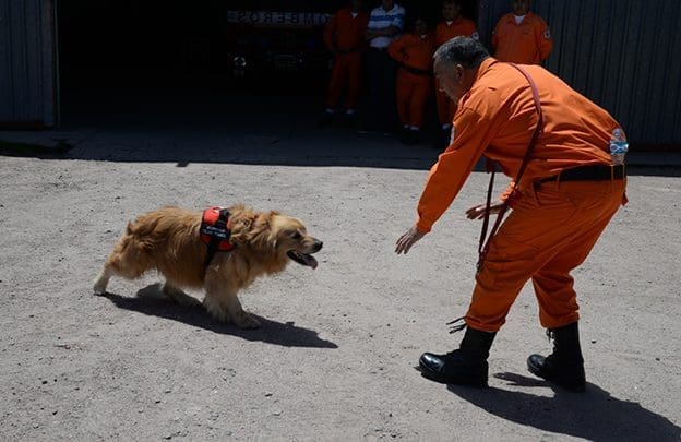 Tobi 4 - Diario Resumen de la región