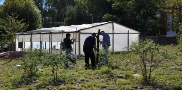 Cultivo Bosques Nativos1 - Diario Resumen de la región