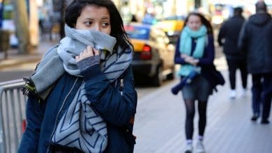 ciudadanos pasean por portal langel con gorros bufandas este martes 1484732917312 - Diario Resumen de la región