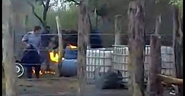 8f285634 0930 4cfc 8564 f3383ba8143e 1 - Diario Resumen de la región