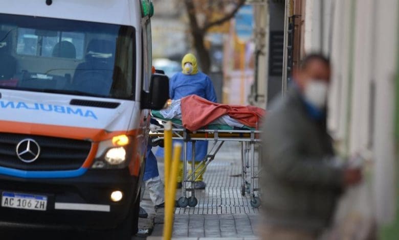 coronavirus camilla - Diario Resumen de la región