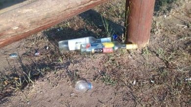 20201109 165448 - Diario Resumen de la región