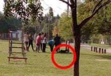 IMG 20250505 111154 - Diario Resumen de la región