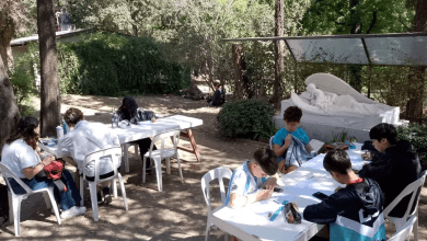 museo gabriel dubois concurso de dibujo - Diario Resumen de la región