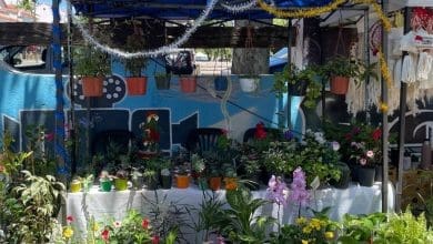 feria paseo del virrey - Diario Resumen de la región